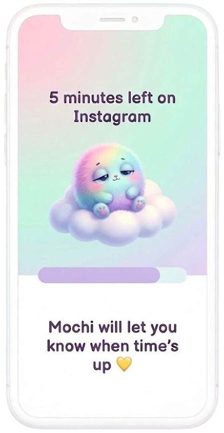 Mochi handles the timer